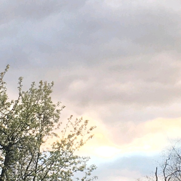 Meet your Posher, Enn - Picture 1 of 1